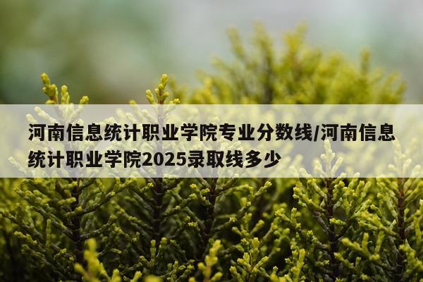 河南信息统计职业学院专业分数线/河南信息统计职业学院2025录取线多少