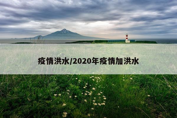 疫情洪水/2020年疫情加洪水