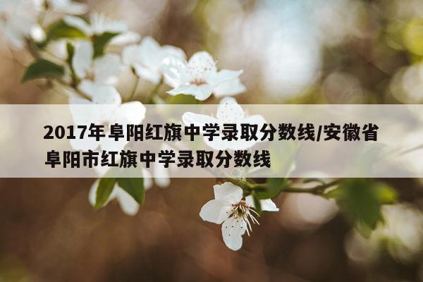 2017年阜阳红旗中学录取分数线/安徽省阜阳市红旗中学录取分数线