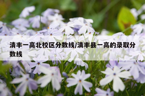清丰一高北校区分数线/清丰县一高的录取分数线