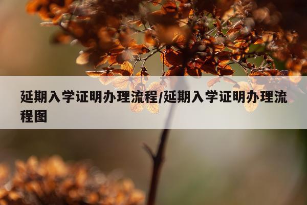 延期入学证明办理流程/延期入学证明办理流程图
