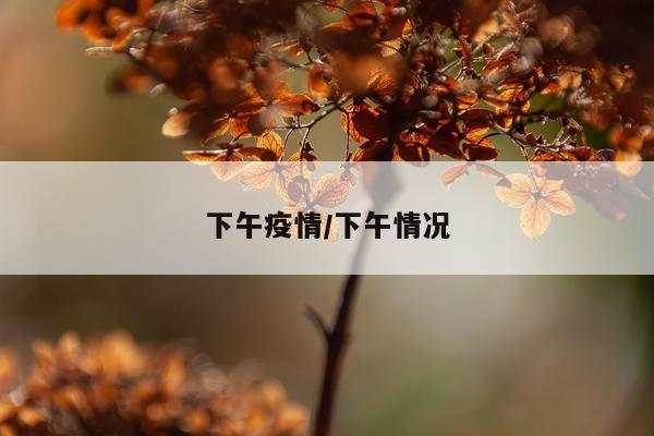下午疫情/下午情况