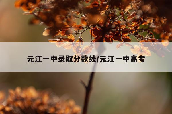 元江一中录取分数线/元江一中高考
