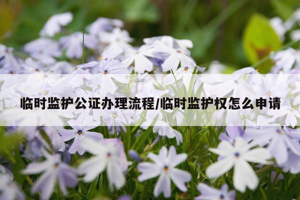 临时监护公证办理流程/临时监护权怎么申请