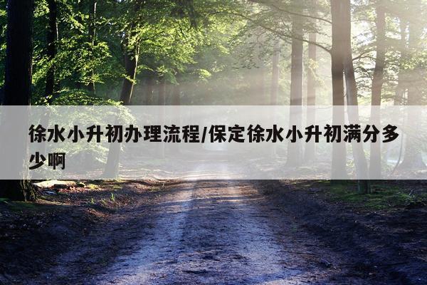 徐水小升初办理流程/保定徐水小升初满分多少啊