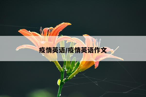 疫情英语/疫情英语作文