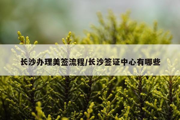 长沙办理美签流程/长沙签证中心有哪些