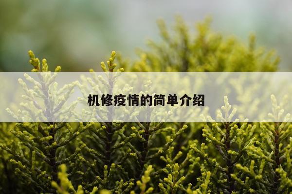 机修疫情的简单介绍