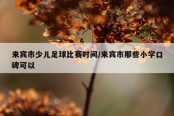 来宾市少儿足球比赛时间/来宾市那些小学口碑可以