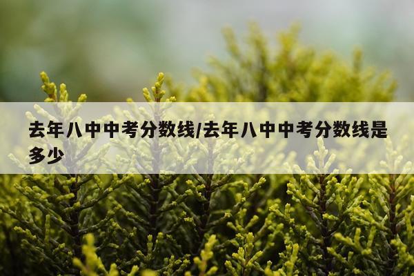 去年八中中考分数线/去年八中中考分数线是多少