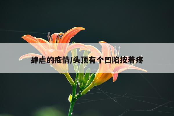 肆虐的疫情/头顶有个凹陷按着疼