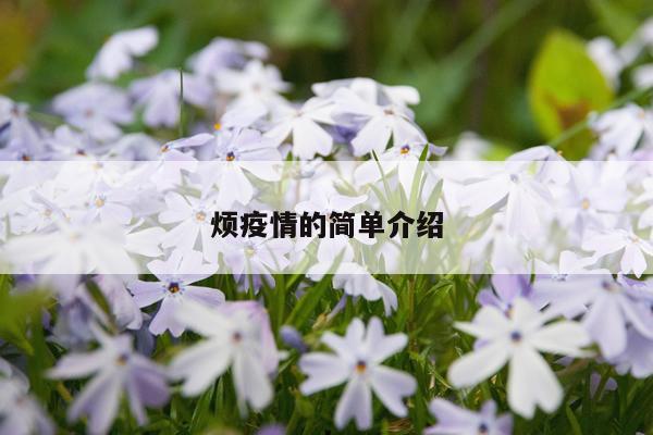 烦疫情的简单介绍