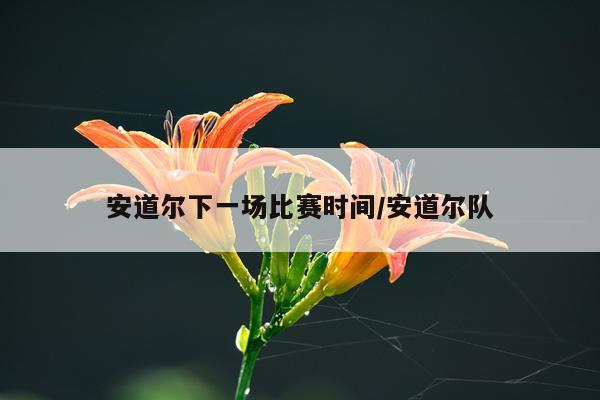 安道尔下一场比赛时间/安道尔队