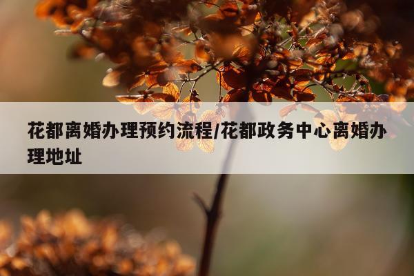 花都离婚办理预约流程/花都政务中心离婚办理地址
