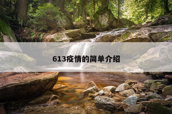613疫情的简单介绍