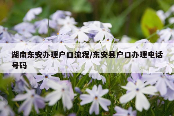 湖南东安办理户口流程/东安县户口办理电话号码