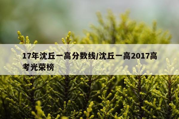 17年沈丘一高分数线/沈丘一高2017高考光荣榜