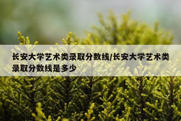 长安大学艺术类录取分数线/长安大学艺术类录取分数线是多少