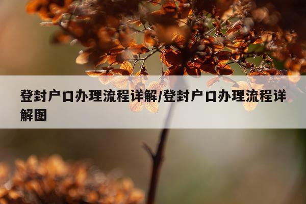登封户口办理流程详解/登封户口办理流程详解图