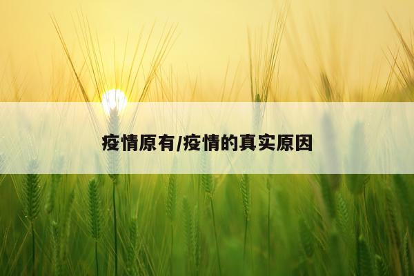 疫情原有/疫情的真实原因