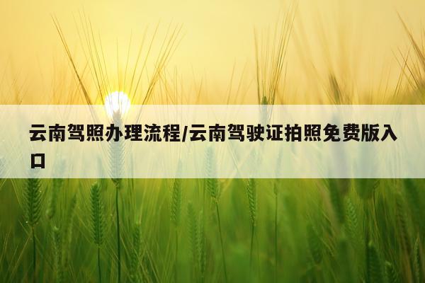 云南驾照办理流程/云南驾驶证拍照免费版入口