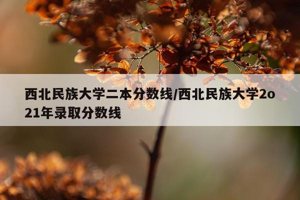 西北民族大学二本分数线/西北民族大学2o21年录取分数线