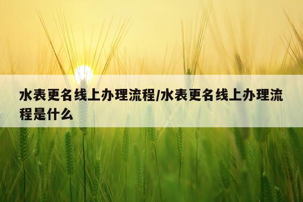 水表更名线上办理流程/水表更名线上办理流程是什么
