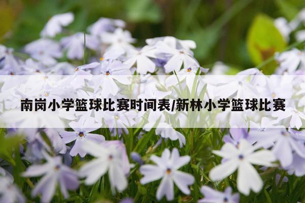 南岗小学篮球比赛时间表/新林小学篮球比赛