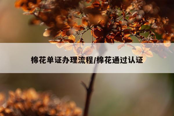 棉花单证办理流程/棉花通过认证