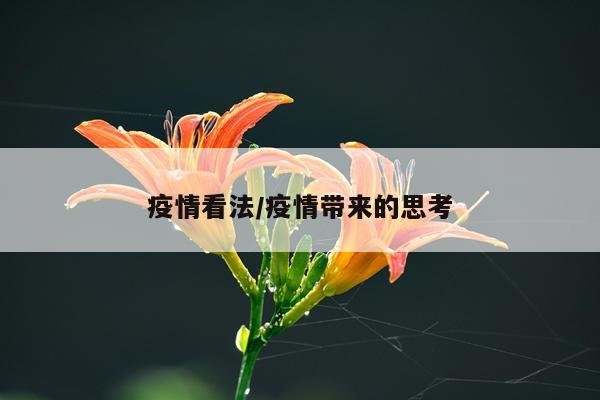 疫情看法/疫情带来的思考