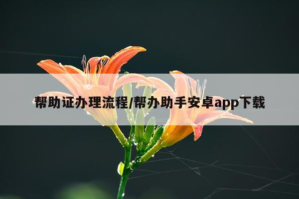 帮助证办理流程/帮办助手安卓app下载