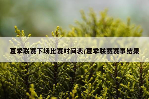 夏季联赛下场比赛时间表/夏季联赛赛事结果