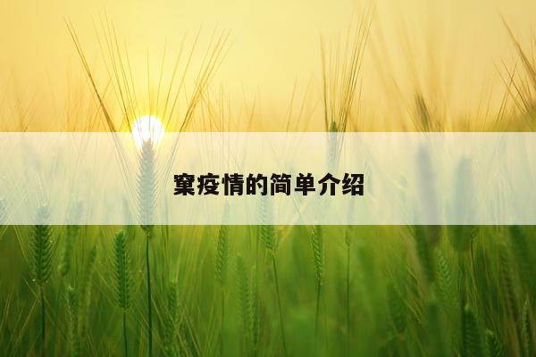 窠疫情的简单介绍