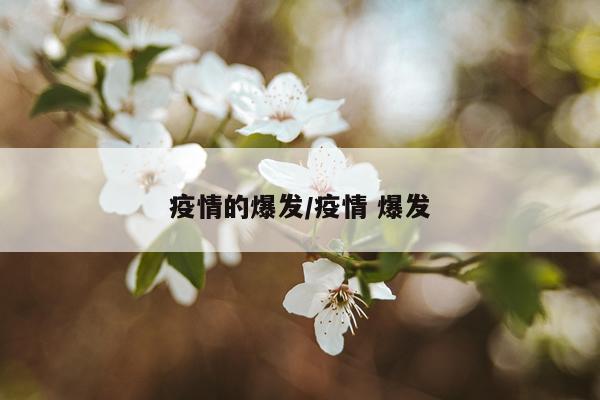 疫情的爆发/疫情 爆发