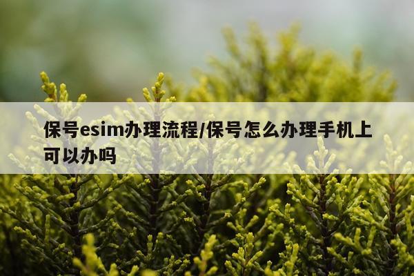 保号esim办理流程/保号怎么办理手机上可以办吗