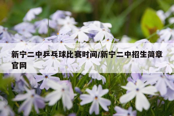 新宁二中乒乓球比赛时间/新宁二中招生简章官网