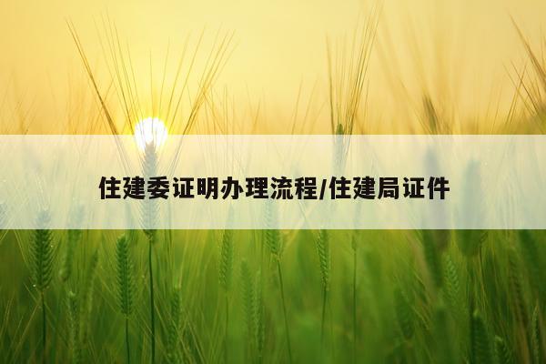 住建委证明办理流程/住建局证件