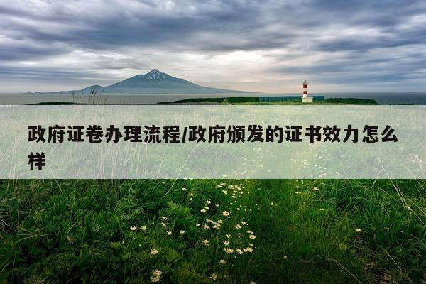 政府证卷办理流程/政府颁发的证书效力怎么样