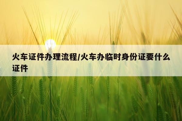 火车证件办理流程/火车办临时身份证要什么证件