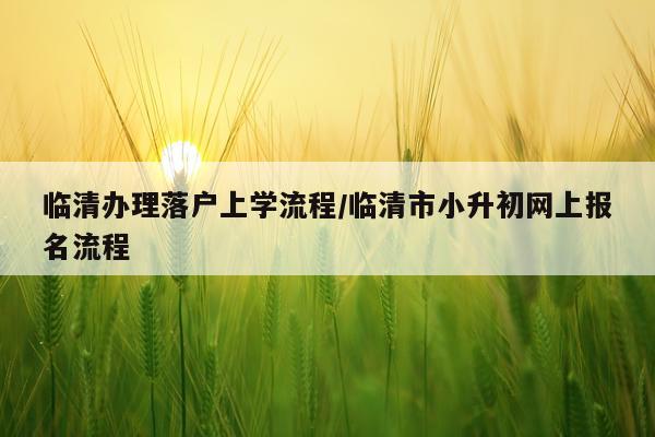 临清办理落户上学流程/临清市小升初网上报名流程