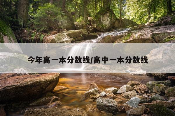 今年高一本分数线/高中一本分数线