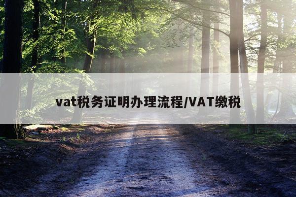 vat税务证明办理流程/VAT缴税