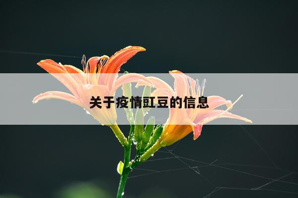 关于疫情豇豆的信息