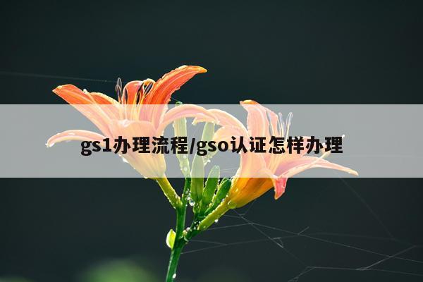 gs1办理流程/gso认证怎样办理