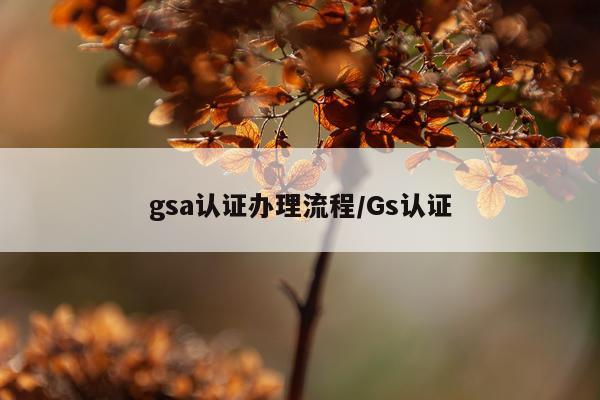 gsa认证办理流程/Gs认证