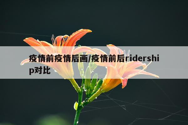 疫情前疫情后画/疫情前后ridership对比