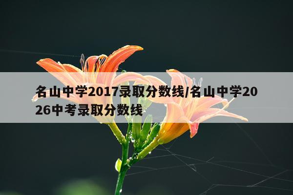 名山中学2017录取分数线/名山中学2026中考录取分数线