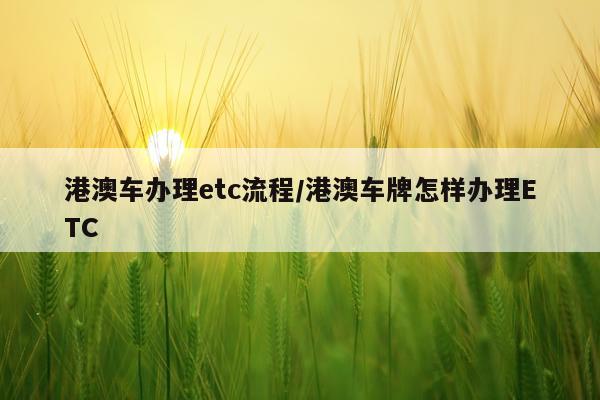 港澳车办理etc流程/港澳车牌怎样办理ETC