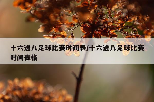 十六进八足球比赛时间表/十六进八足球比赛时间表格