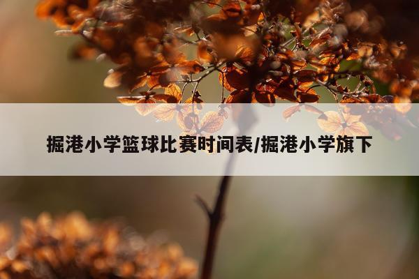 掘港小学篮球比赛时间表/掘港小学旗下